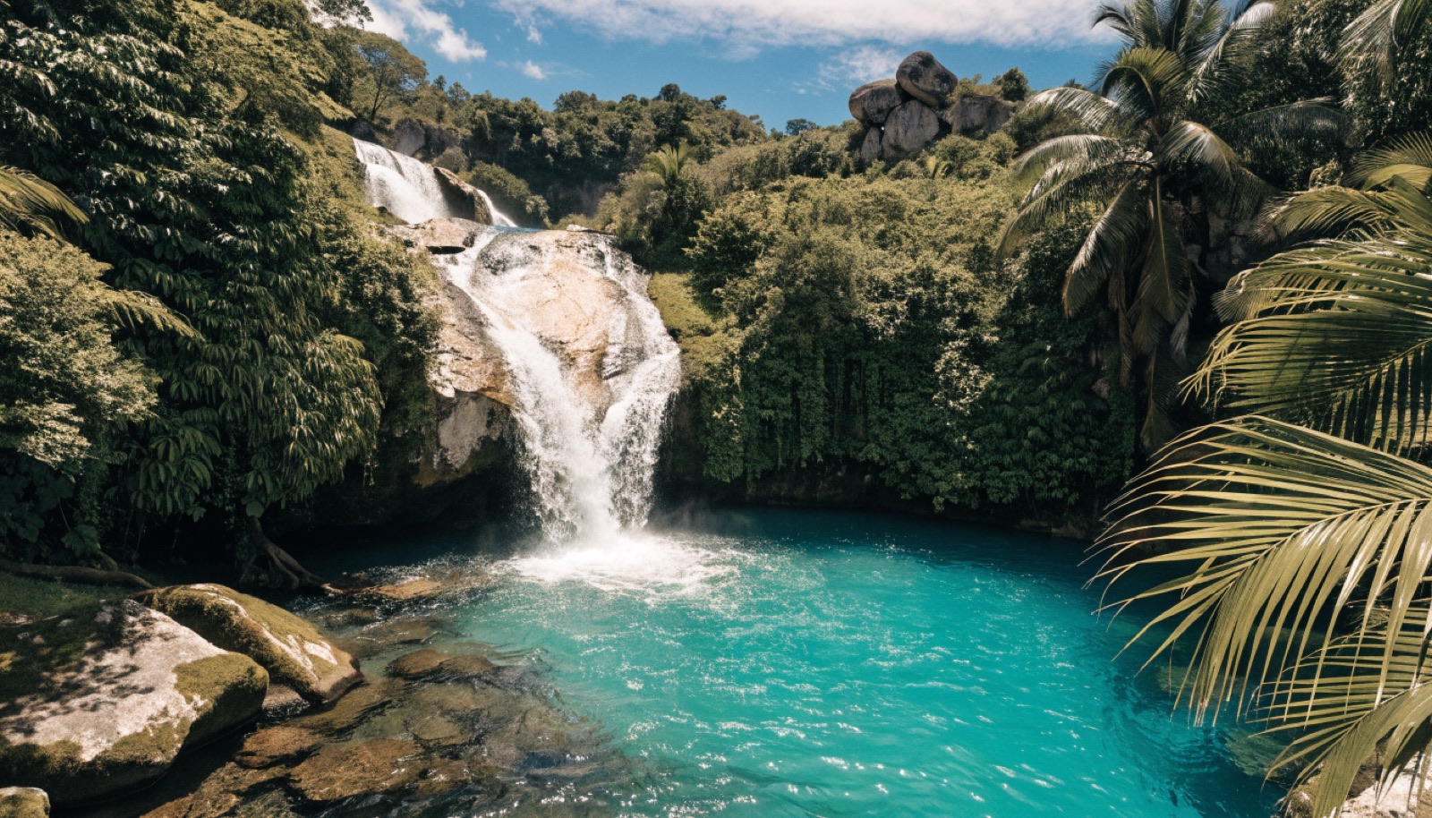 Tropical waterfall and natural pool